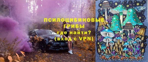 трава Балахна