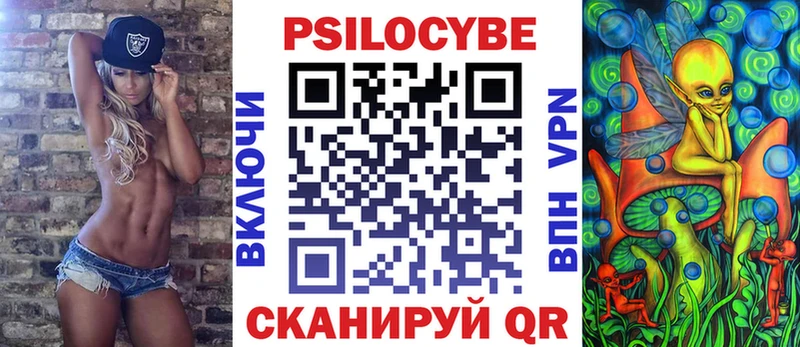 Галлюциногенные грибы Psilocybe  Ветлуга 